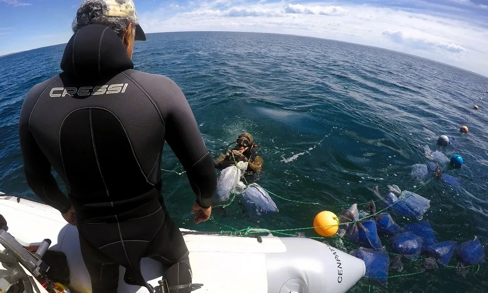 pesca Chubut