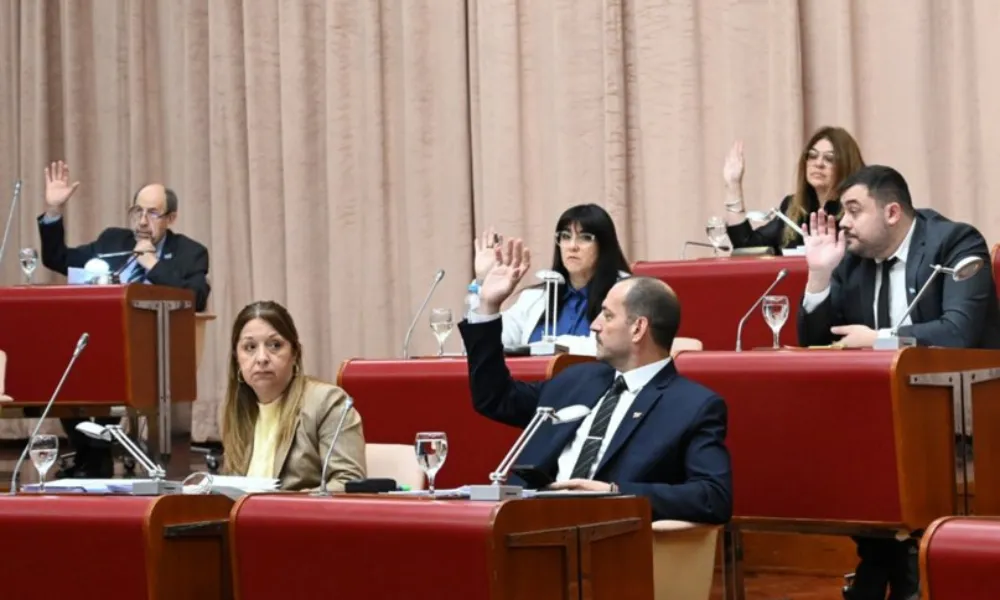Diputados provinciales