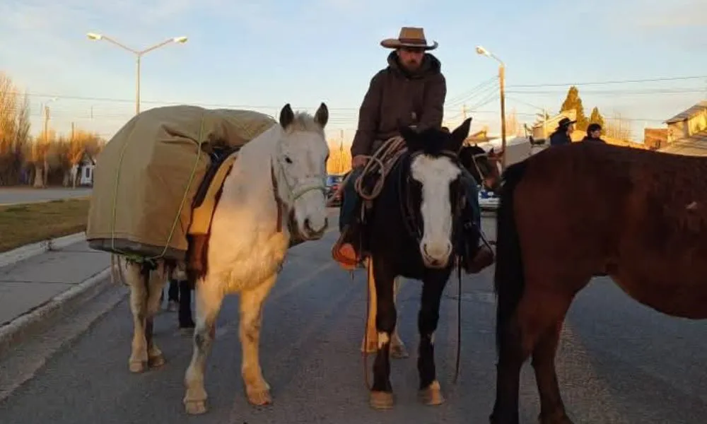 The World From a Horse El Muindo desde un caballo 16