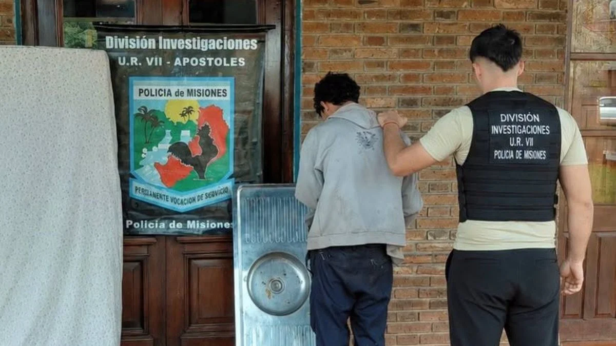 Detienen a un joven delincuente