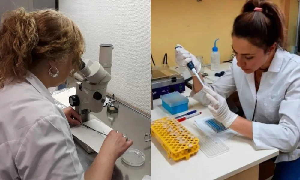 María Laura Vélez y Ana Laura Gallo