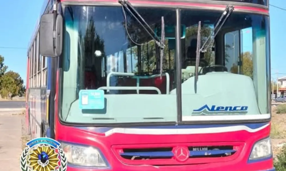 Colectivo