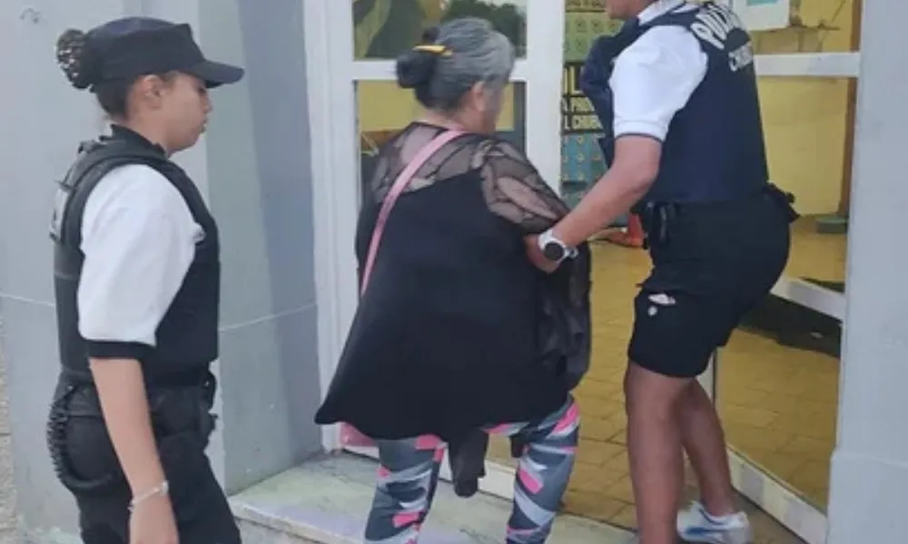 Mujer detenida