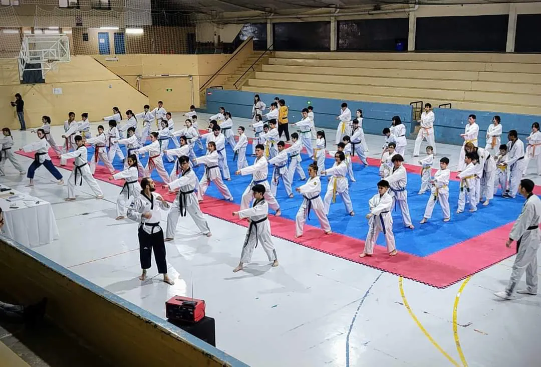 GRAN CLÍNICA DE TAEKWONDO EN PUERTO MADRYN