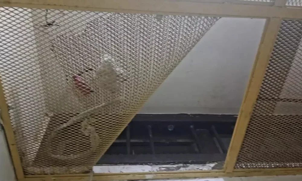 Intento de fuga en Trelew