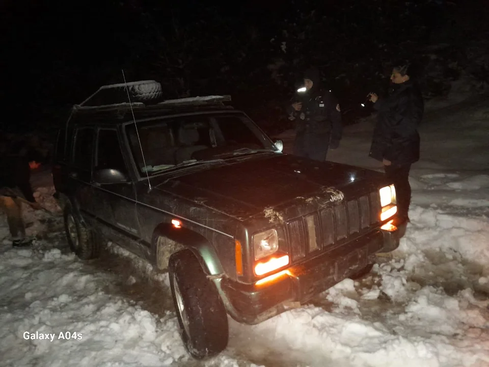 cherokee despisto