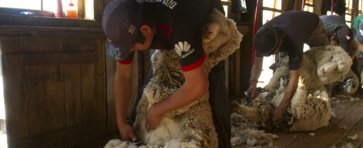 Fuhrmann S.A vendido