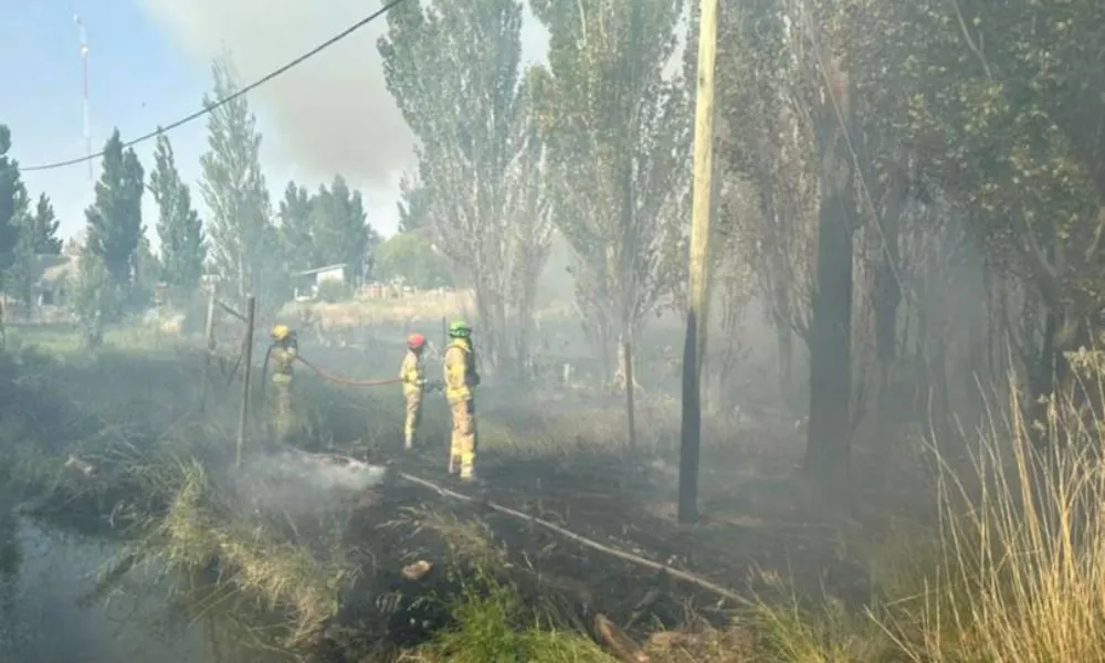 incendio de pastizales 
