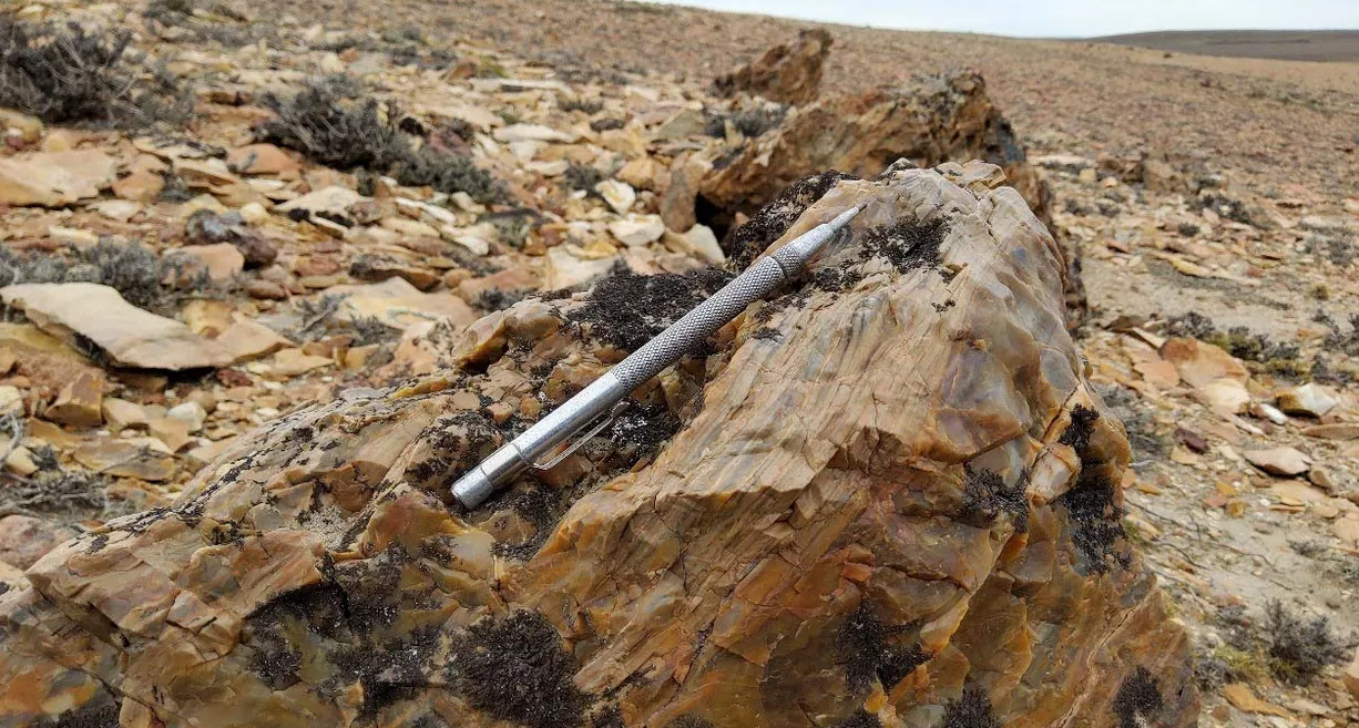 minera el aguila santacruz