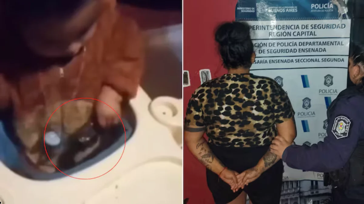 Detuvieron en La Plata a una mujer que grabó a su bebé mientras jugaba con un arma “¿Para quién es esa, para los giles”