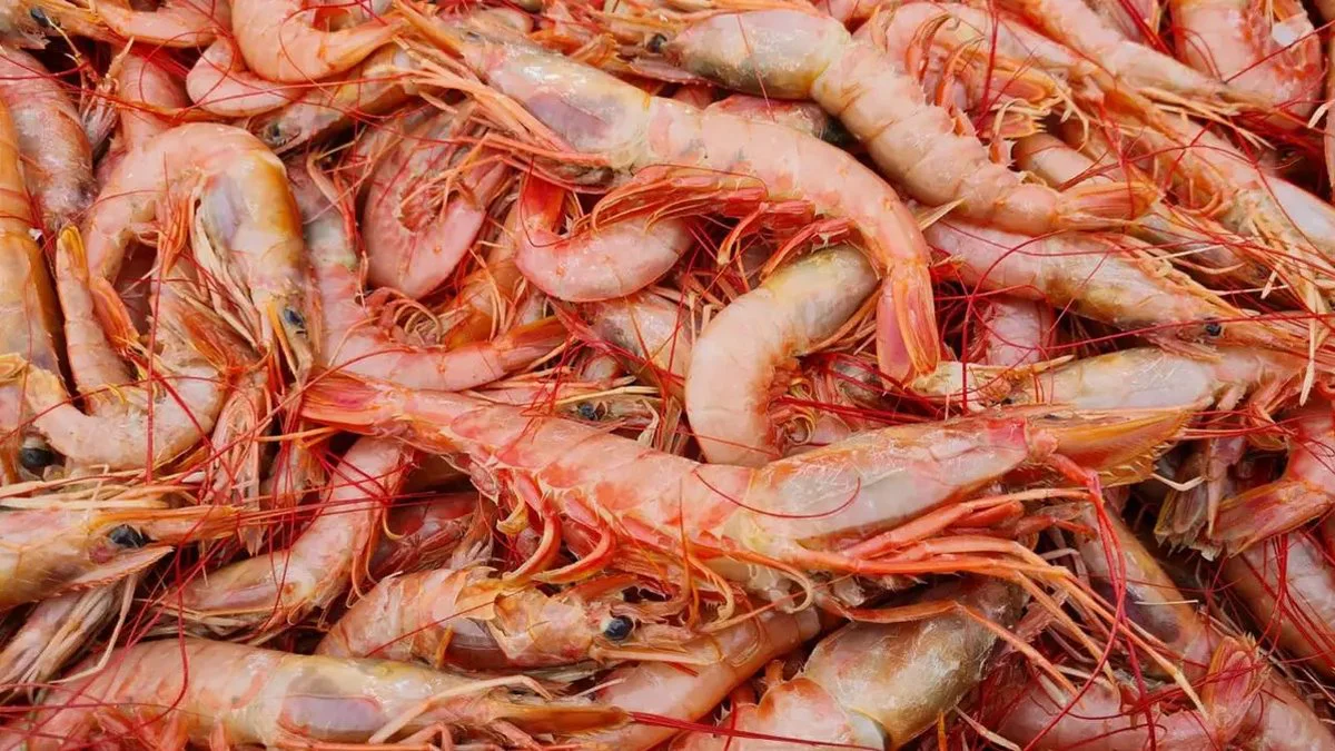 Langostinos. Foto Agrovalle