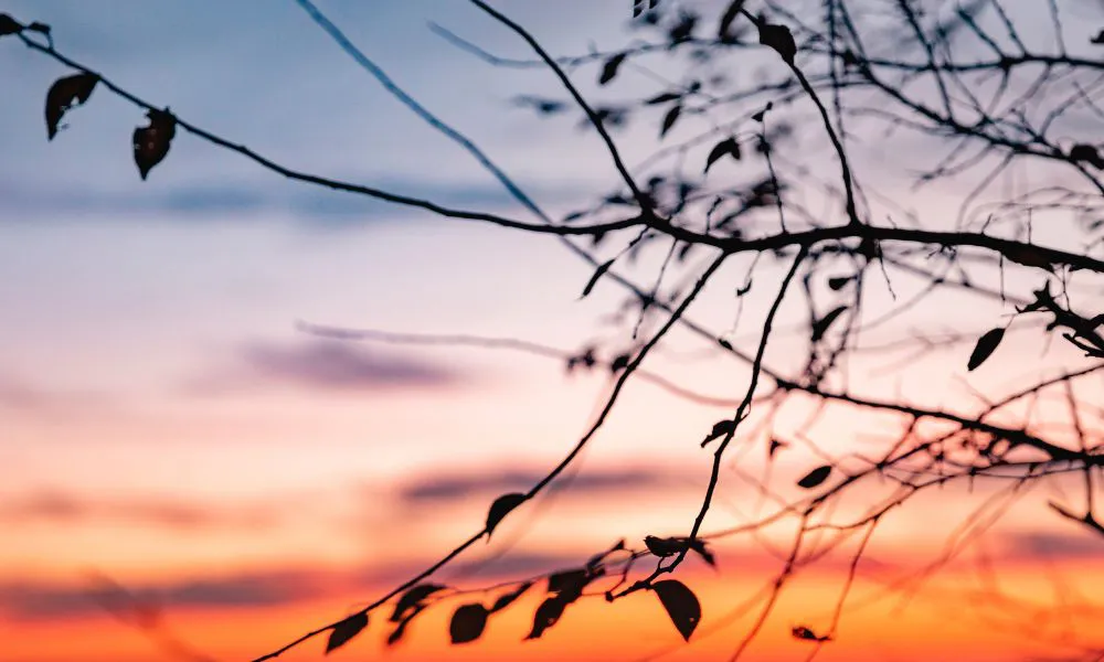 Amanecer