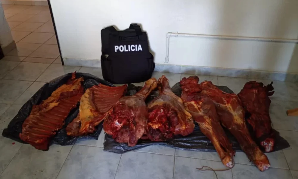 Entre los elementos encontrados figuraban el cuero y las patas del equino.