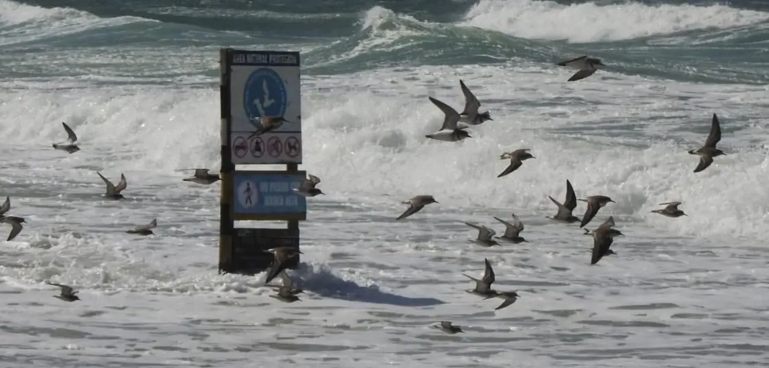 mareas extra san matias