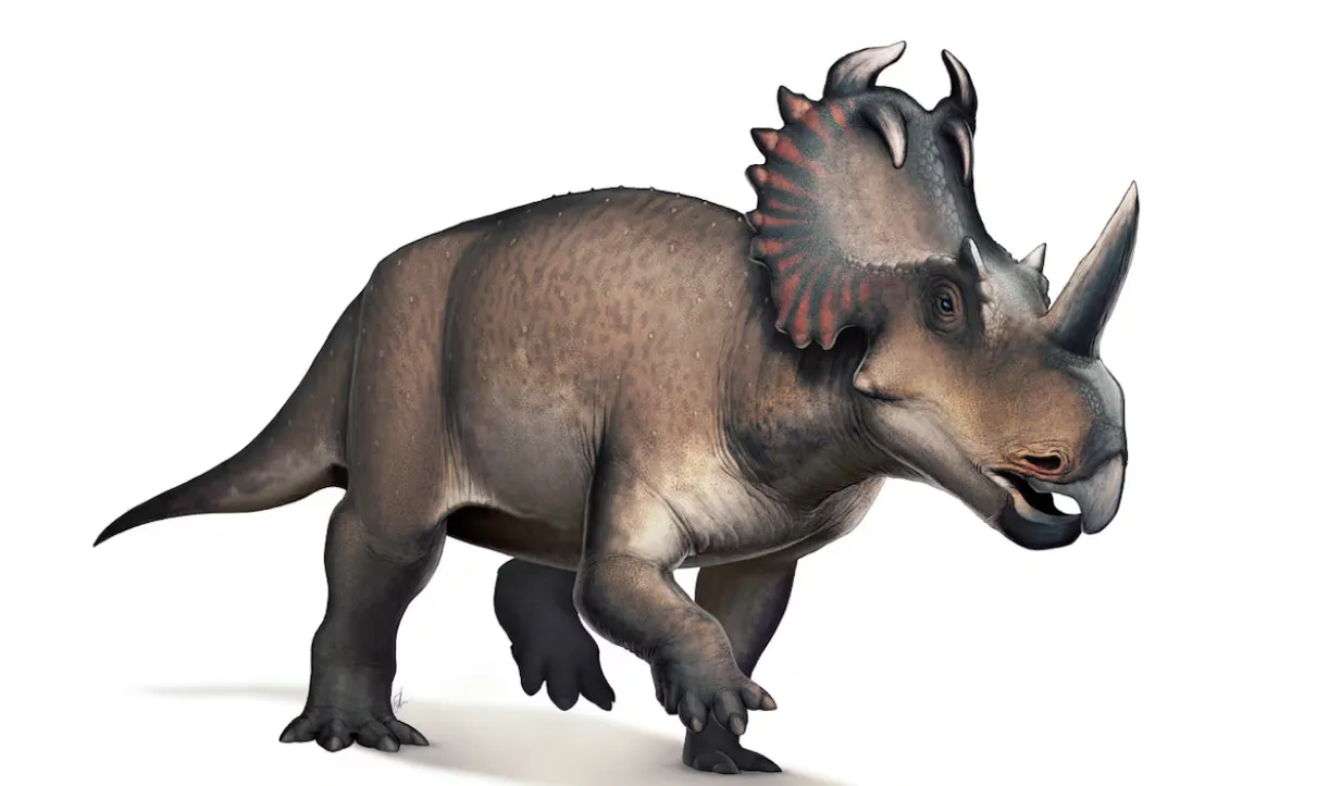 dino cancer