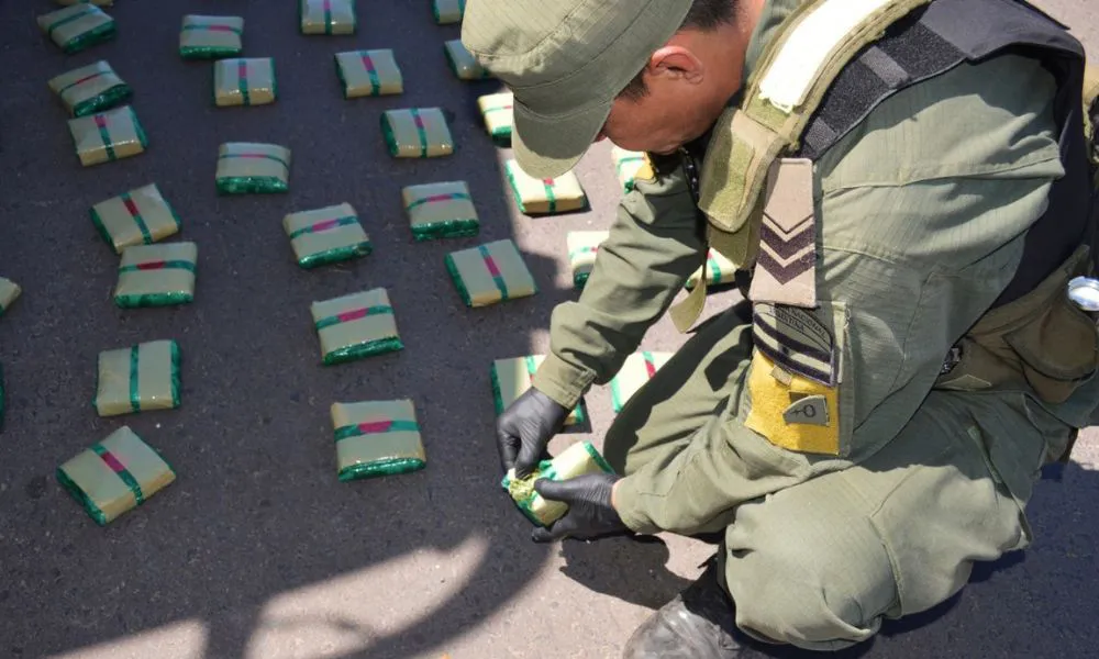 Ocultaban 129 kilos de hojas de coca en dos camiones en Chaco