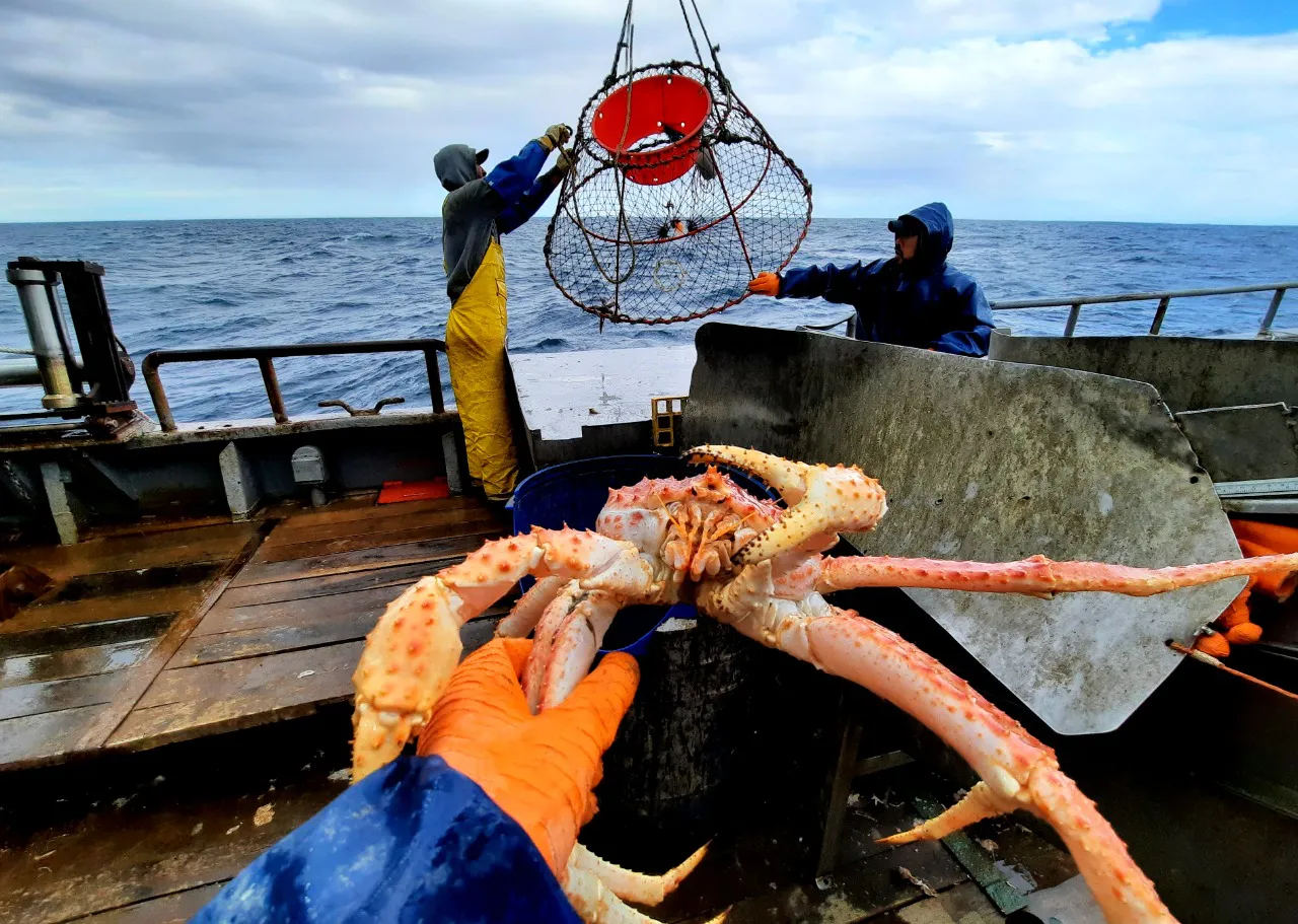 Pesca de centolla