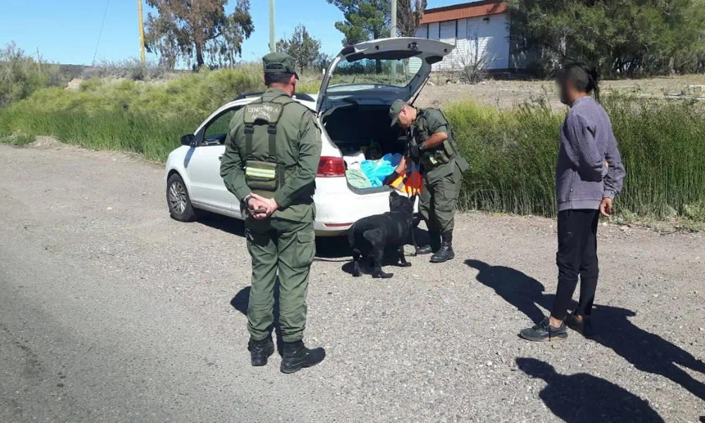 Conductor detenido en Arroyo Verde