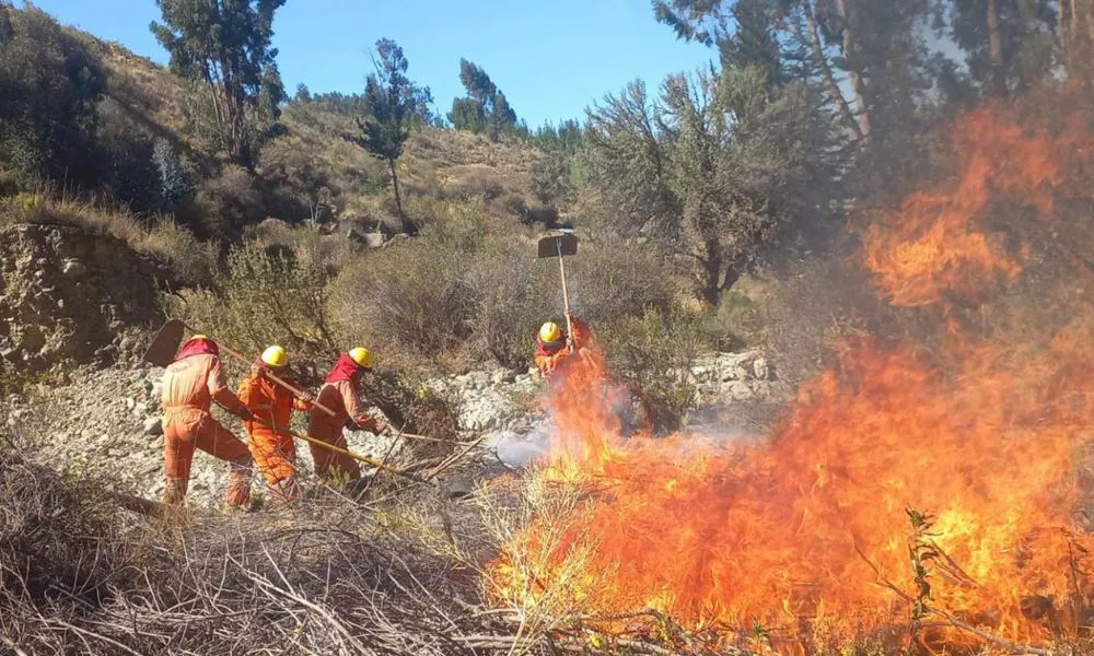 Incendios forestales en Bolivia (Foto: mindef.gob.bo / Infobae)