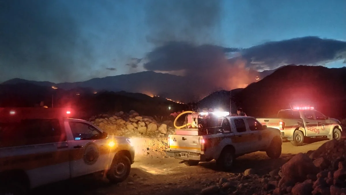 Incendio en Chilecito, La Rioja. Foto Fenix
