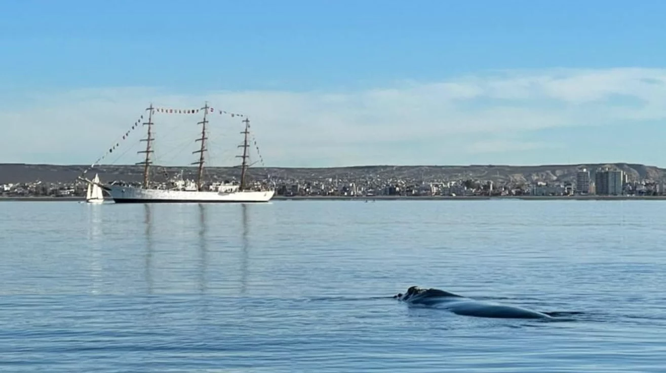 Fragata Libertad en Puerto Madryn