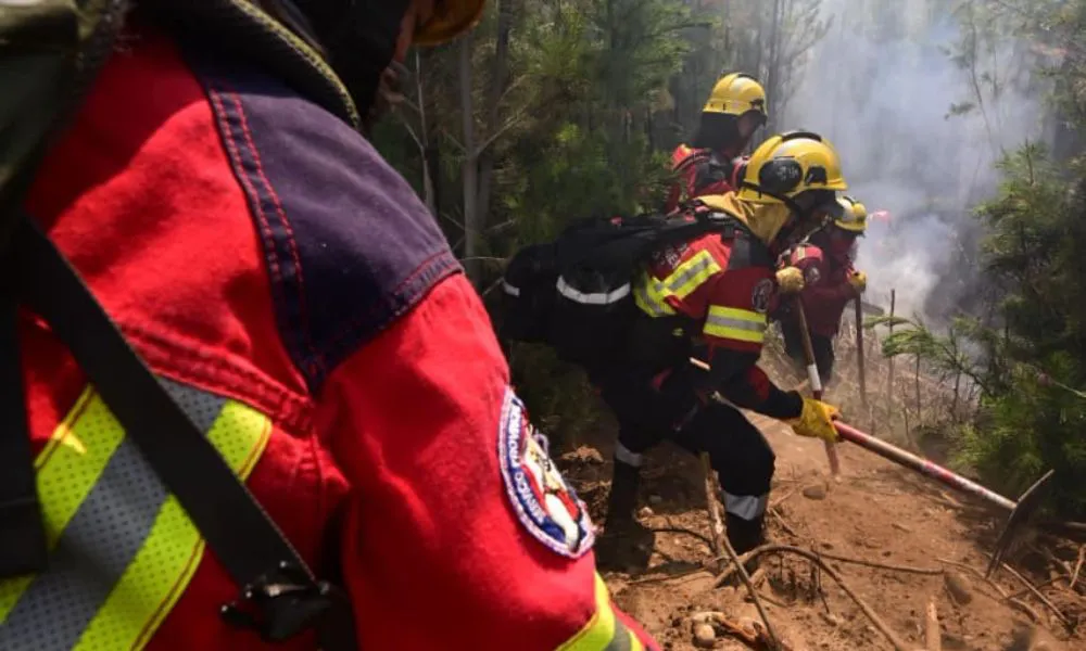 Incendios en la Cordillera 2026 15