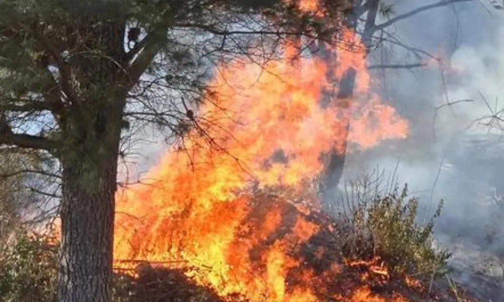 Incendio Las Golondrinas