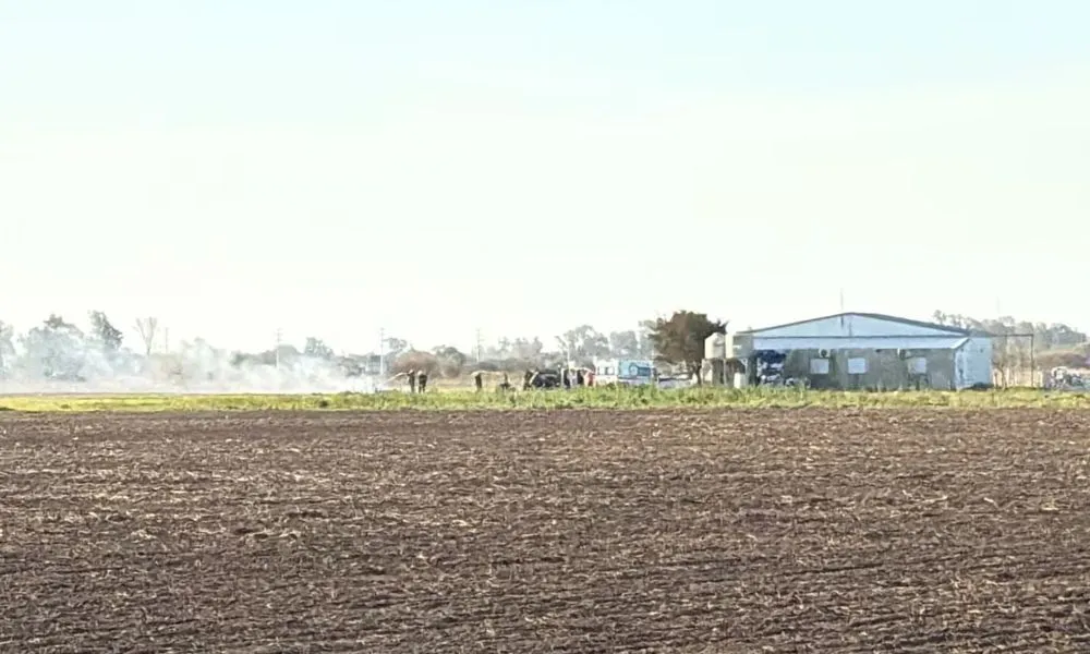 Se estrelló una avioneta en un festival aéreo en Bell Ville (Foto: eldoce.tv)