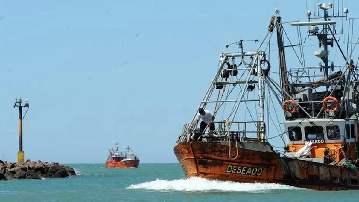 Pesca en el Golfo San Jorge