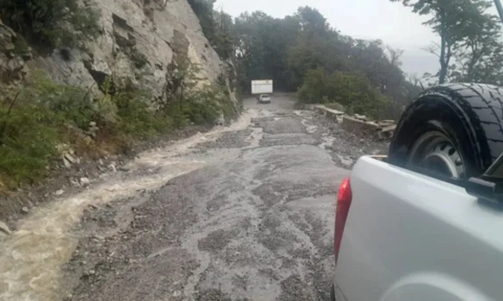 Tránsito