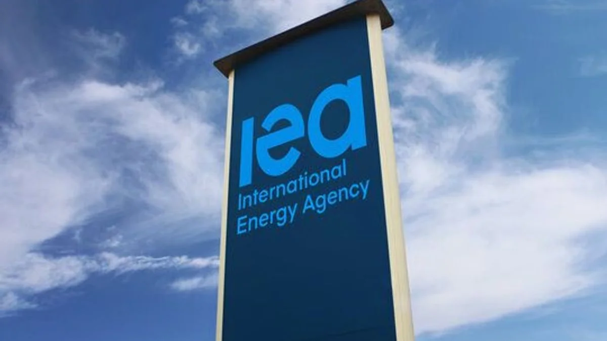 Agencia Internacional de Energía. Foto Noticias Argentinas