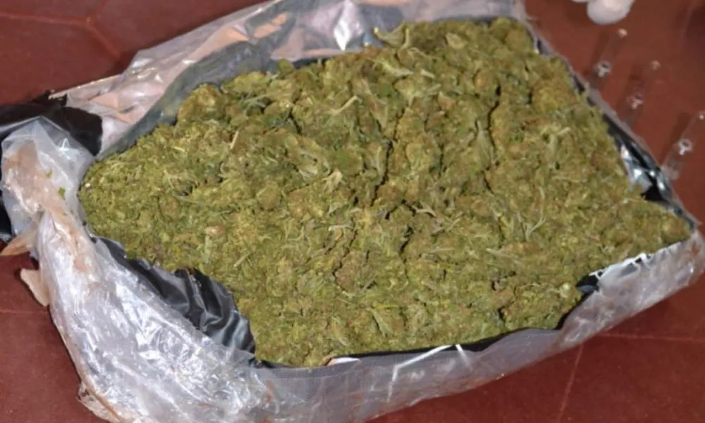 Hallan más de 20 kilos de marihuana escondida en una encomienda