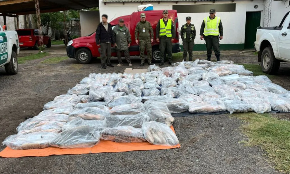 Decomisan casi una tonelada de pescado transportado sin documentación