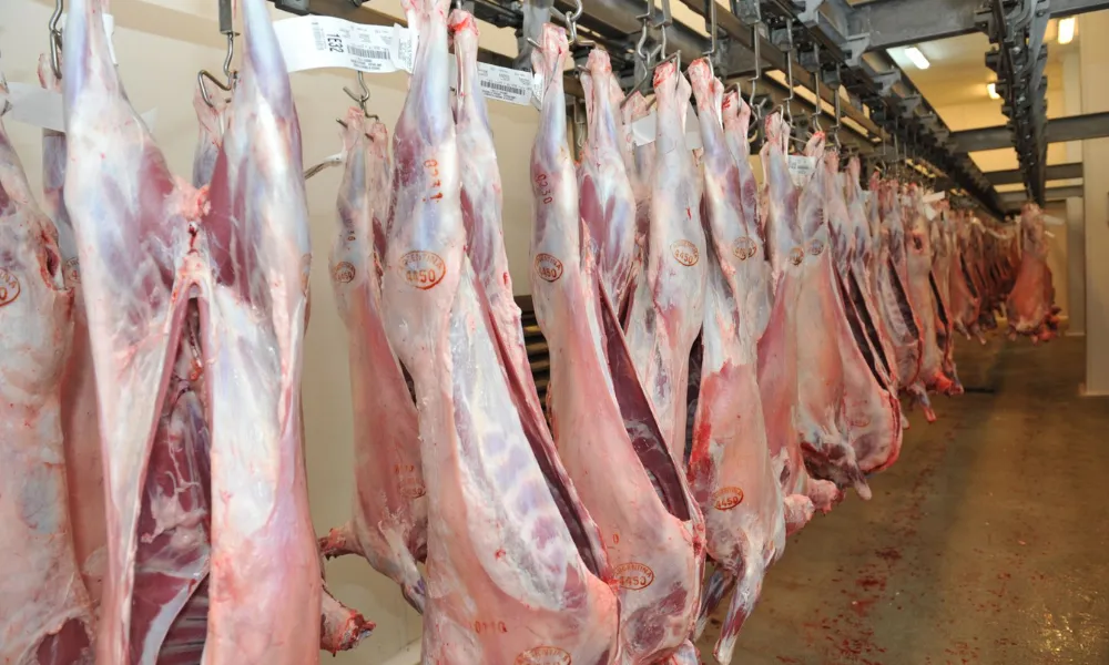 Carne caprina