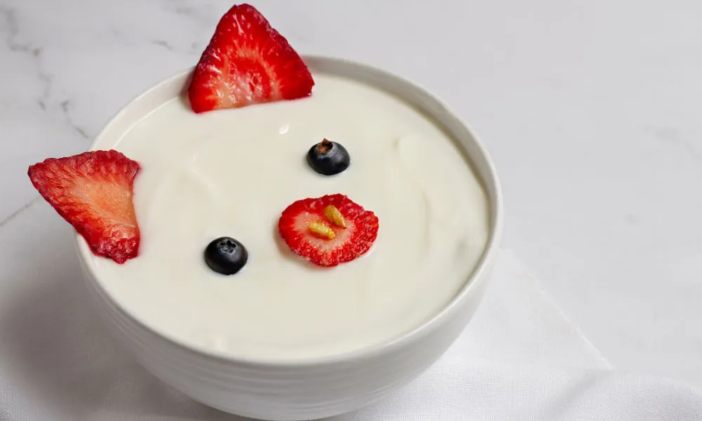 Yogur