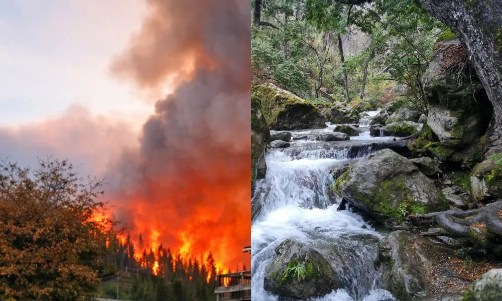 antes y despues en El Hoyo