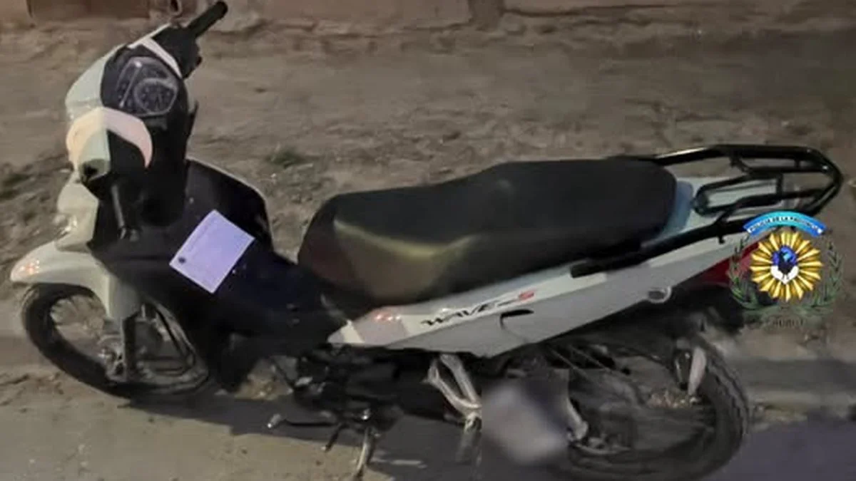 Motovehículo