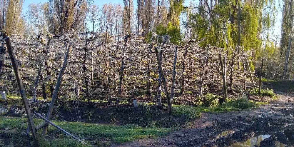 0b05cbdf-e752-4090-a364-1a322d239aa8