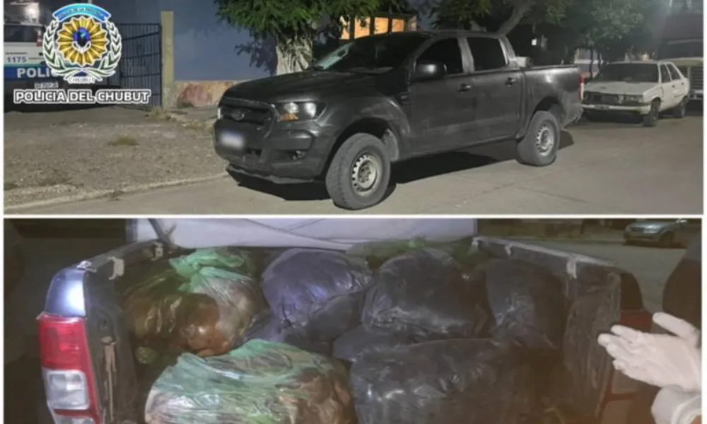 Secuestro de carne de guanaco