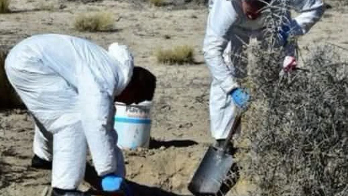 Policia Cientifica trabaja en el hallazgo