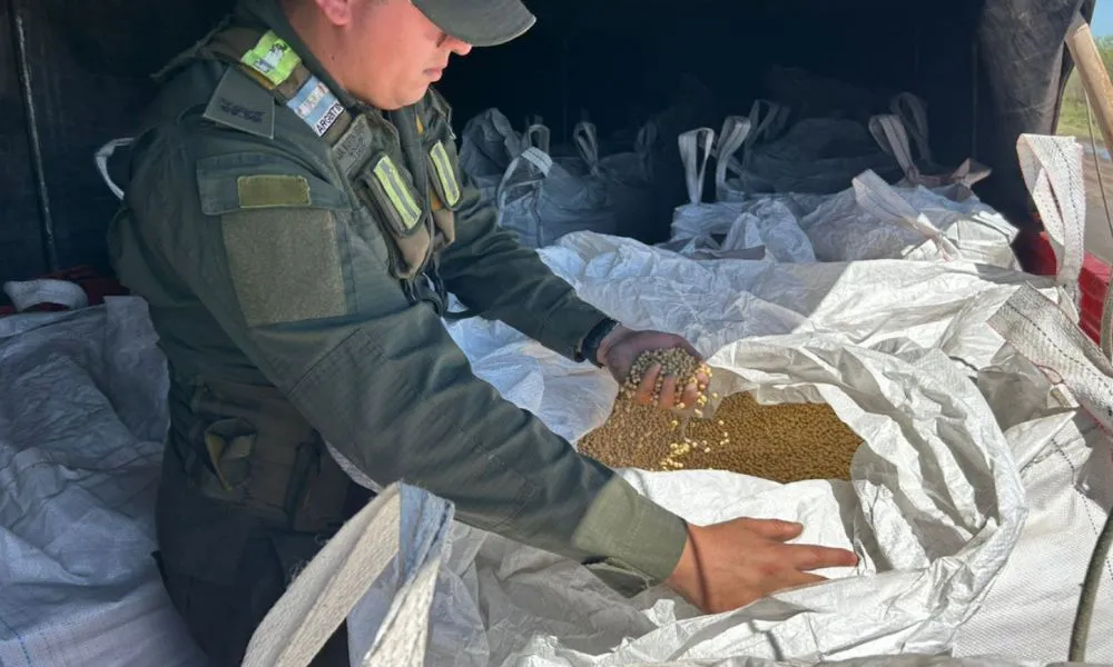 Incautan 52.000 kilos de soja
