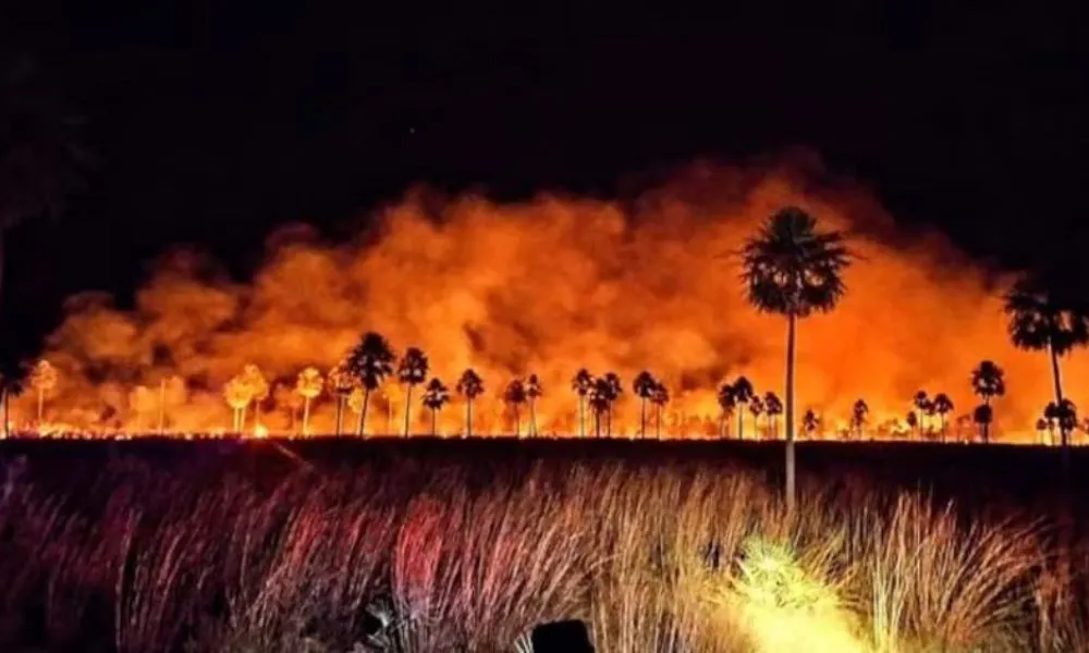 Un incendio iniciado en Bolivia arrasó más de 16.000 hectáreas del Chaco paraguayo
