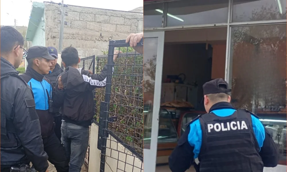 Detienen a un ladrón que golpeó a una empleada para robar