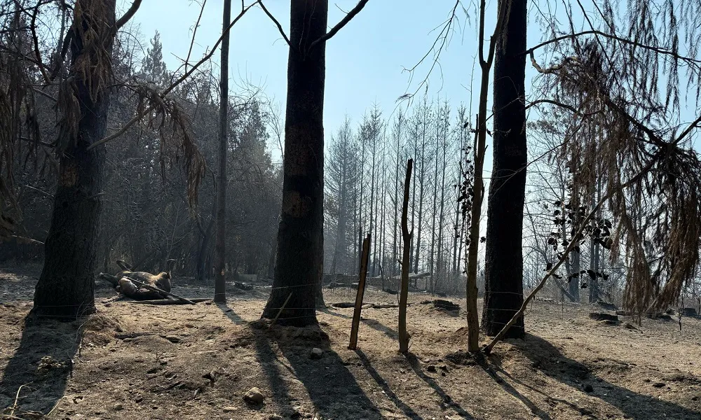 Incendio en El Bolsón