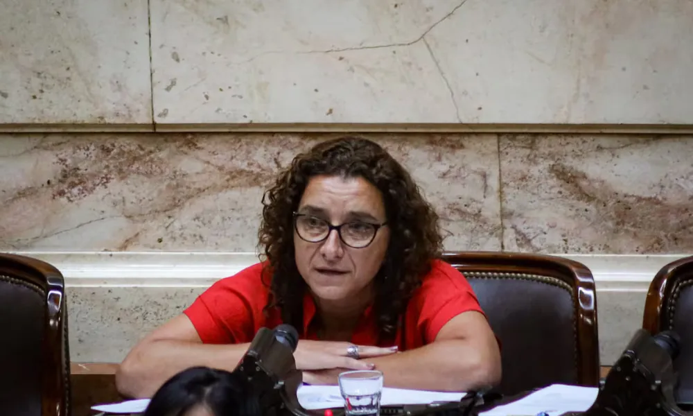 Diputada Vanina Biasi
