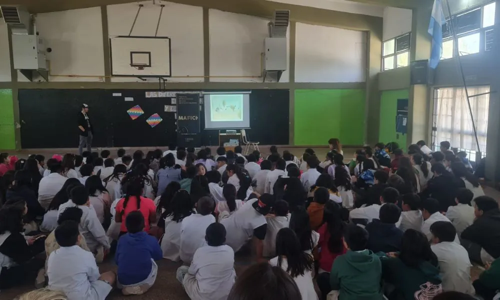 Proyecciones del MAFICI