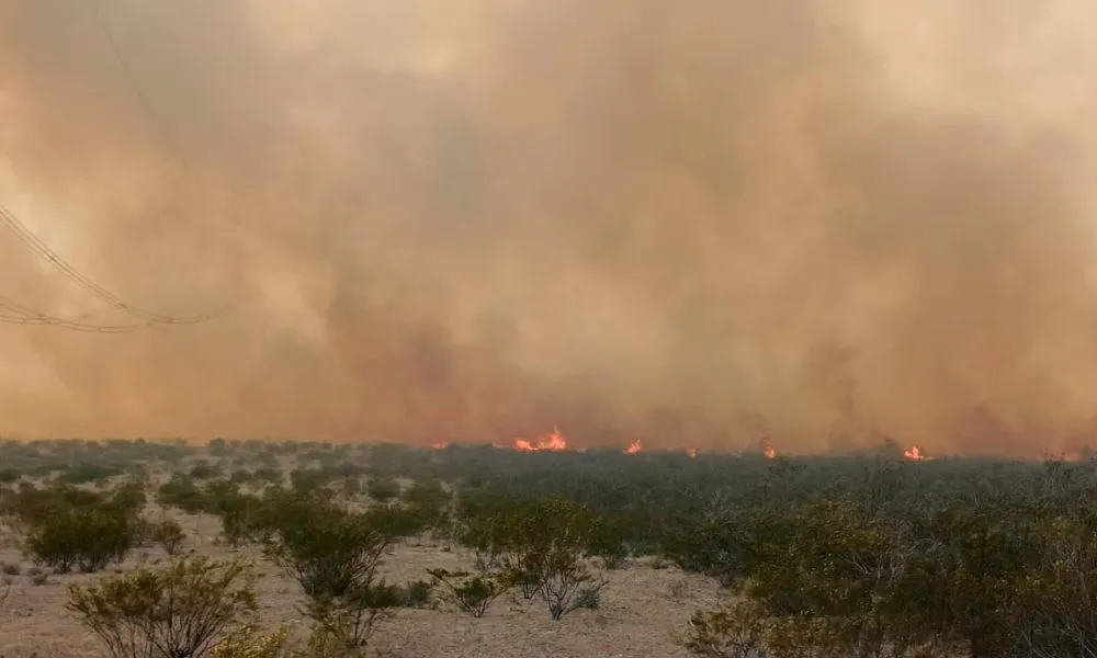 Incendio en Puerto MAdryn 2025