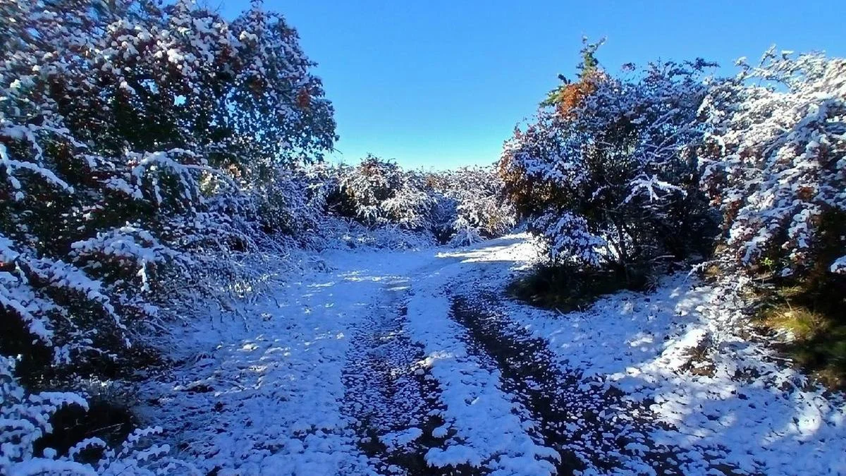 Nevada en Córdoba foto Cadena 3