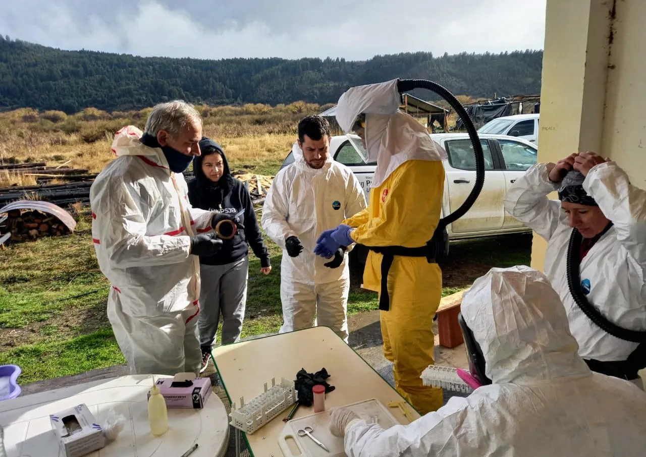 Encuentro Regional de Hantavirus