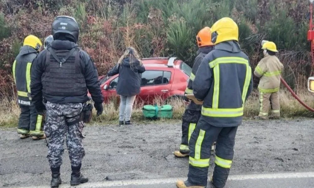 Despiste en ruta 40